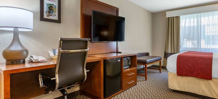 舒适套房酒店-菲尼克斯机场(Comfort Suites Phoenix Airport)图片