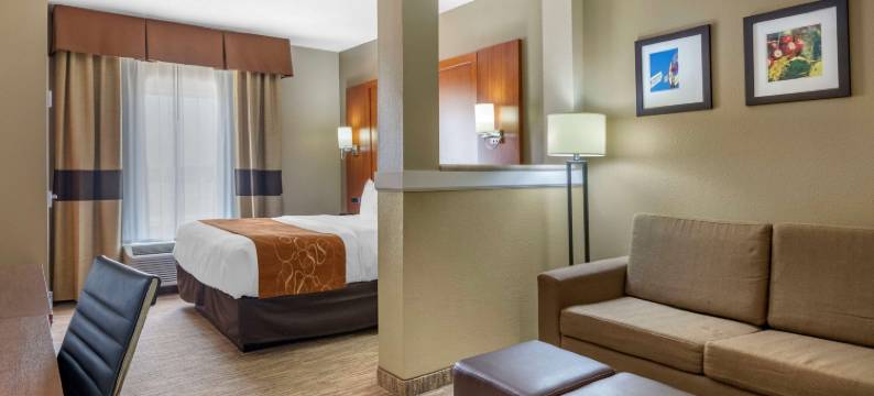 舒适套房酒店-大学(Comfort Suites - University)图片