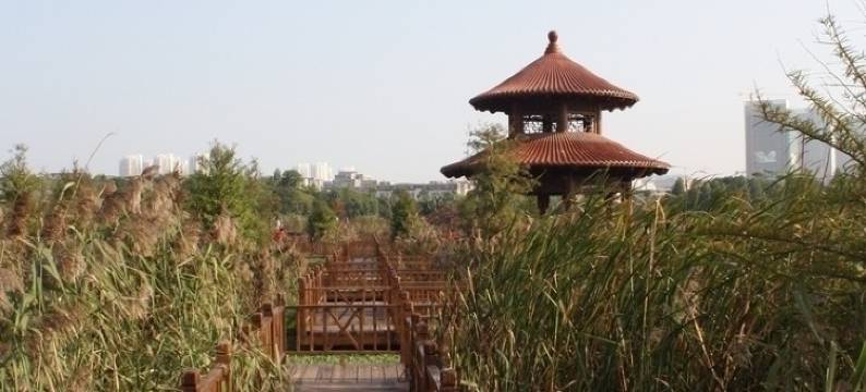 她他酒店式公寓(中山古镇国贸店)图片