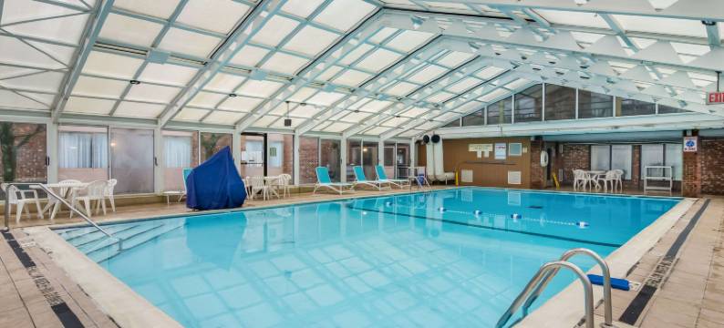 舒适酒店及套房(Comfort Inn & Suites)图片