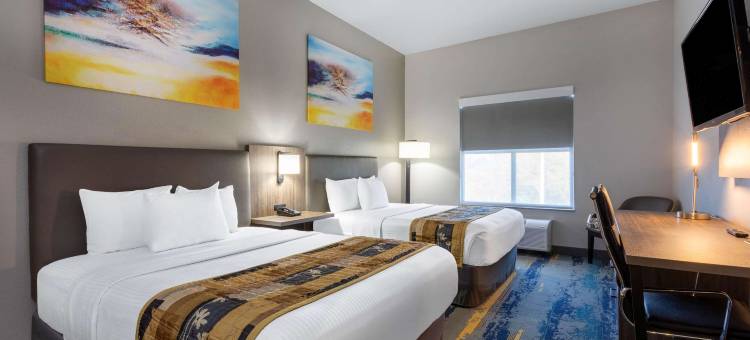 坦帕中心拉昆塔温德姆套房酒店(La Quinta Inn & Suites by Wyndham Tampa Central)图片