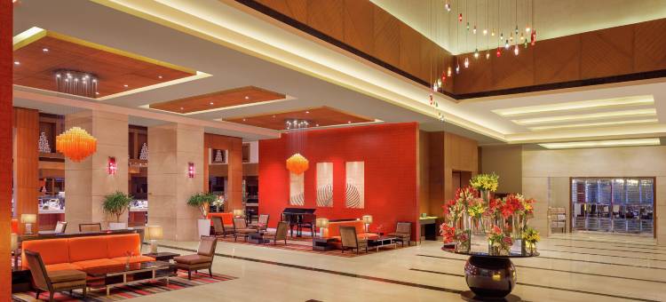 古尔冈希尔顿逸林酒店(DoubleTree by Hilton Gurgaon)图片