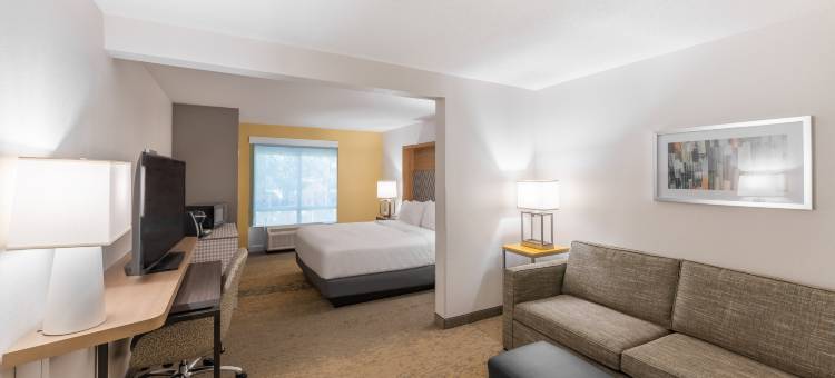 Holiday Inn & Suites 橘园- 井路。(Holiday Inn & Suites Orange Park - Wells RD.)图片