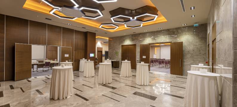 开塞利-杜文诺努假日酒店(Holiday Inn KAYSERI - DUVENONU by IHG)图片
