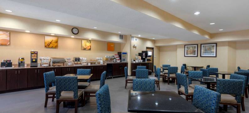 达拉斯沃思堡国际机场舒适套房酒店(Comfort Suites DFW Airport)图片