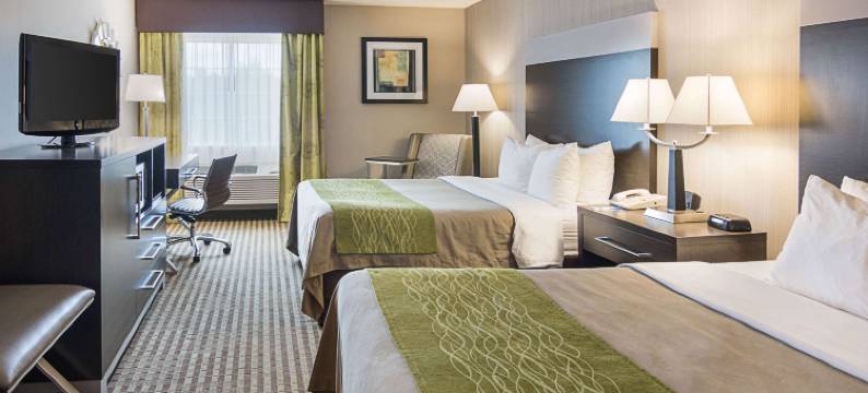 肯顿舒适酒店(Comfort Inn Camden)图片