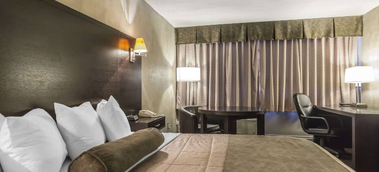 会议中心品质酒店(Quality Hotel & Conference Centre)图片