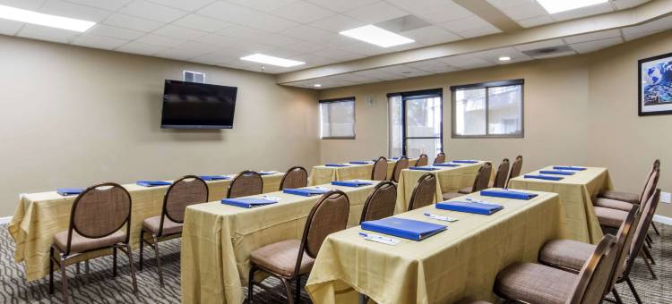 森尼维耳舒适酒店-硅谷(Comfort Inn Sunnyvale - Silicon Valley)图片