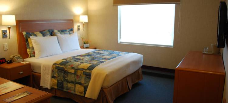 里约维斯塔波萨里卡商务高级酒店(Rio Vista Inn Business High Class Hotel Poza Rica)图片