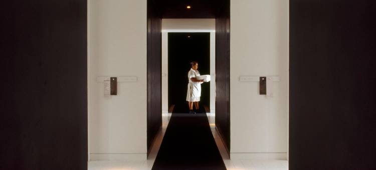 蒙特雷哈比塔酒店 - 设计酒店会员(Habita Monterrey, a Member of Design Hotels)图片