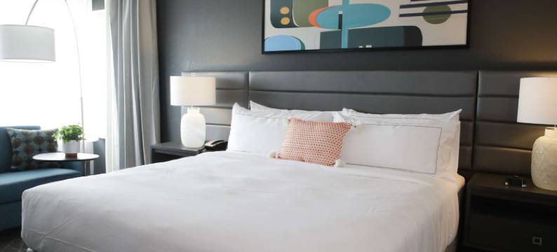 瑞万得西得梅因酒店，希尔顿启缤精选(The Rewind West des Moines, Tapestry Collection by Hilton)图片