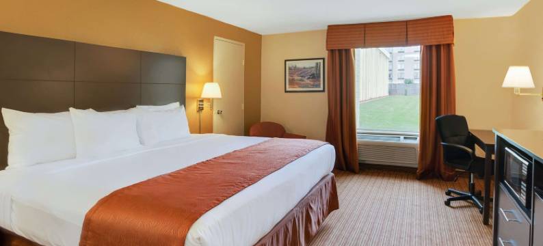 夏洛特-机场体育场呗盟套房酒店(Baymont by Wyndham Charlotte Airport / I-85 North)图片