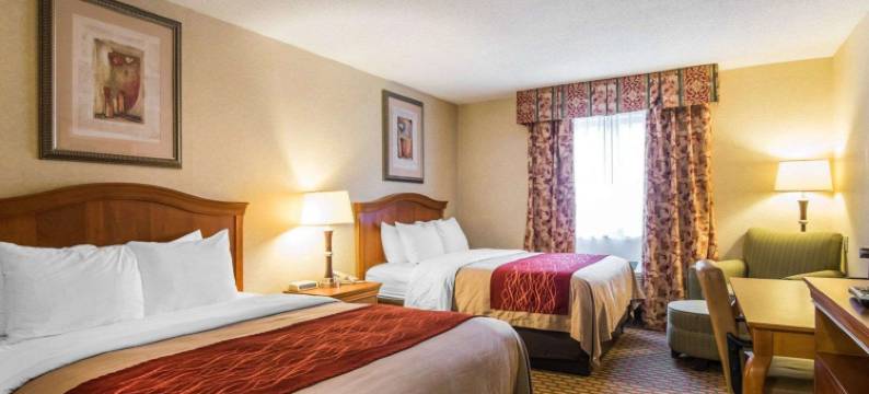 凯艺酒店(Quality Inn)图片