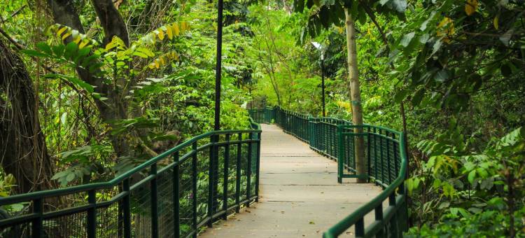 红多兹酒店-近塔曼马卡帕拉瓦恩希库特拉(RedDoorz Near Taman Makam Pahlawan Cikutra)图片