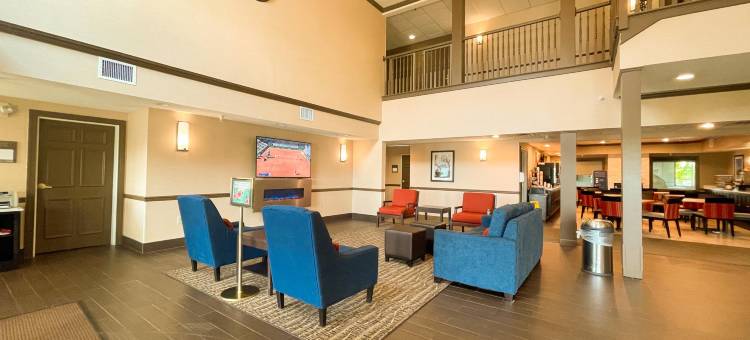 日内瓦西芝加哥舒适套房酒店(Comfort Inn & Suites Geneva- West Chicago)图片
