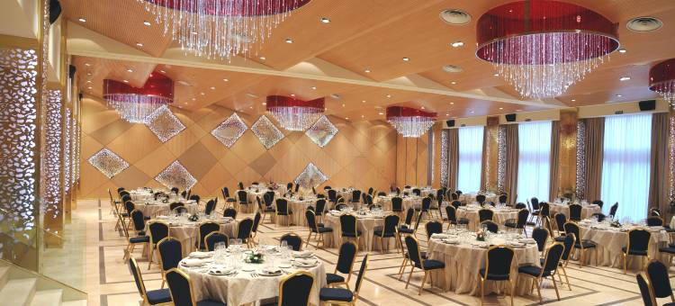 阿尔瓦赛特比特里兹酒店(Hotel Palacio Albacete & Spa)图片