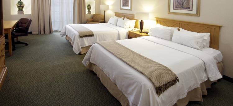 Holiday Inn Express 瓜纳华托(Holiday Inn Express GUANAJUATO by IHG)图片