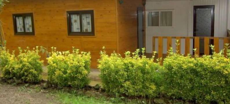 马斯佩特希特露营酒店(Camping Mas Patxet)图片