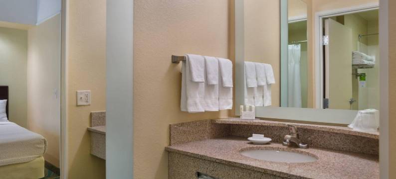 圣彼得堡清水SpringHill套房酒店(SpringHill Suites St. Petersburg Clearwater)图片