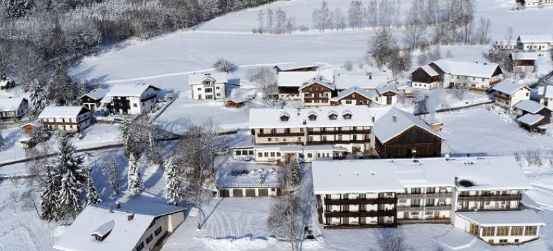 德鲍姆酒店(Hotel der Bäume)图片