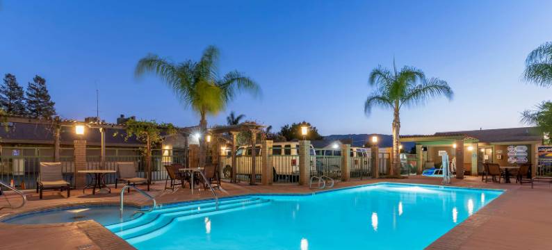 森林公园贝斯特韦斯特优质酒店(Best Western Plus Forest Park Inn)图片