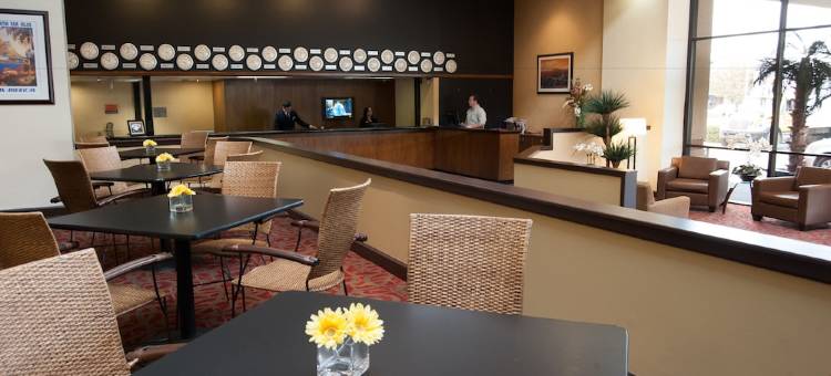 爱特尔广场酒店(Airtel Plaza Hotel)图片