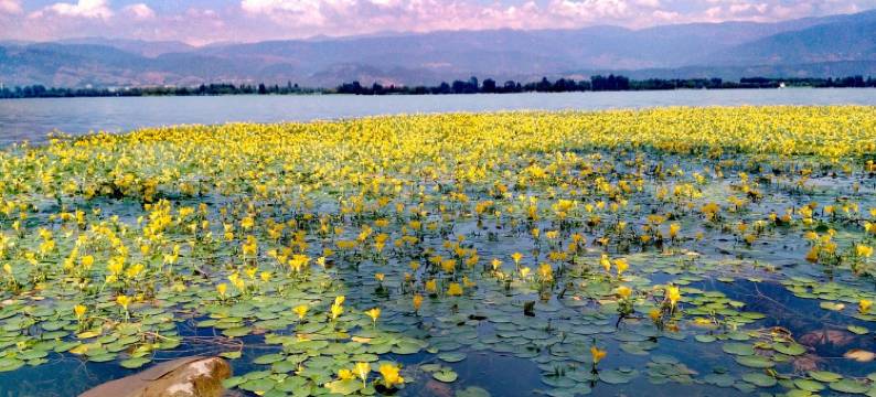 邛海湿地听涛小镇景区房民宿(泸山路分店)图片