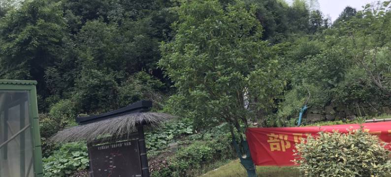 杭州青山绿水带笑颜度假别墅图片