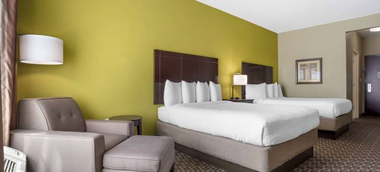 查尔梅特贝斯特韦斯特优质酒店(Best Western Plus Chalmette Hotel)图片