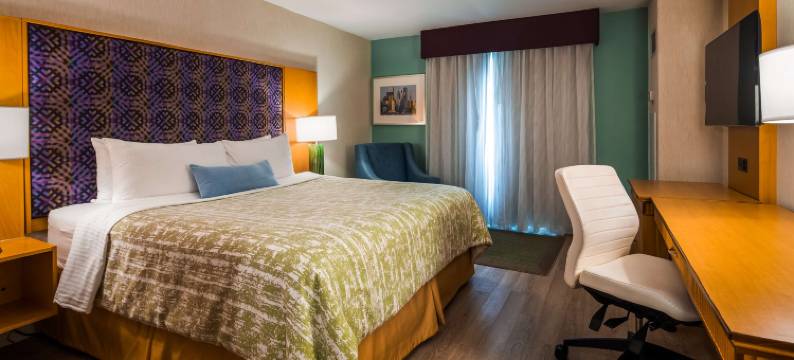 多伦多机场卡灵威尔贝斯特韦斯特精品酒店(Best Western Premier Toronto Airport Carlingview Hotel)图片