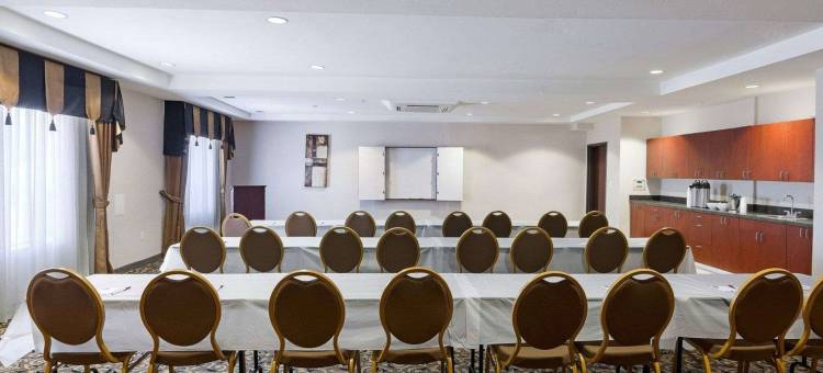 大学城舒适套房酒店(Comfort Suites University)图片