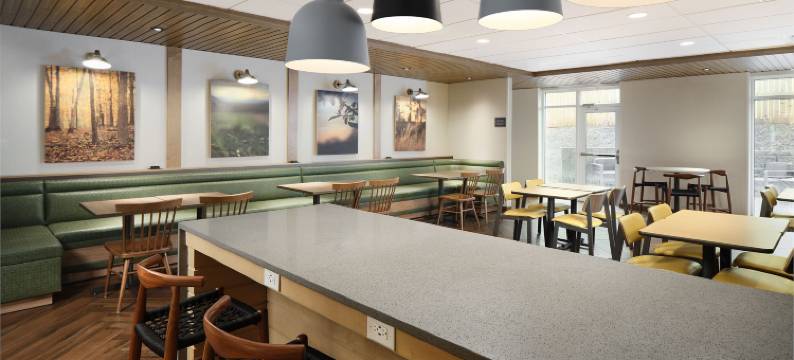 罗利-达勒姆机场/研究三角园区万枫酒店及套房(Fairfield Inn & Suites Raleigh-Durham Airport/Research Triangle Park)图片