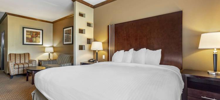 泰克瑟马贝斯特韦斯特优质套房酒店(Best Western Plus Texoma Hotel  Suites)图片
