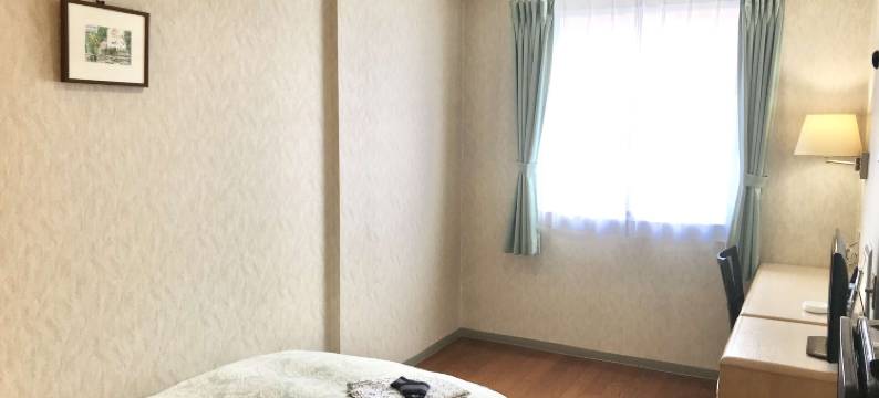 仓吉城镇酒店(Kurayoshi Town Hotel)图片