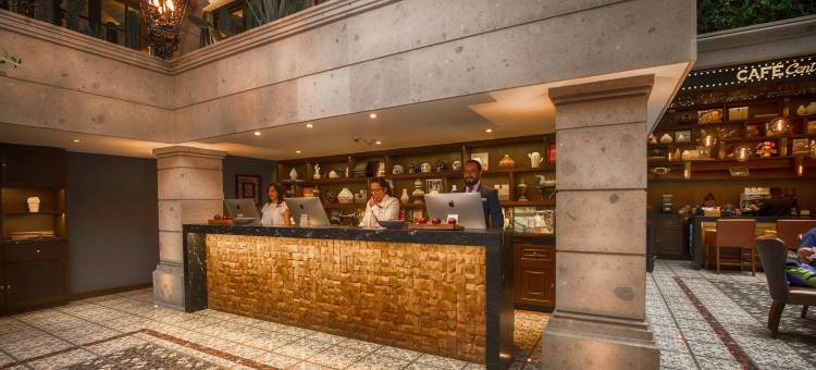 索卡洛中心酒店(Hotel Zocalo Central)图片