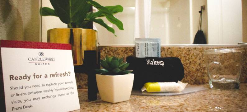 Candlewood Suites 雪花石膏(Candlewood Suites ALABASTER by IHG)图片