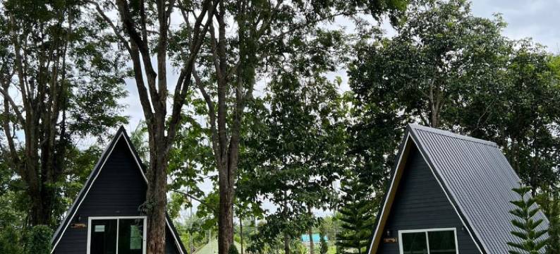 Little Home in the Forest图片