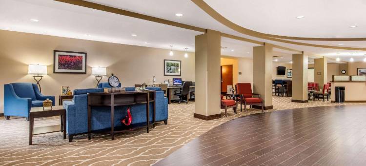 舒适套房酒店(Comfort Suites)图片