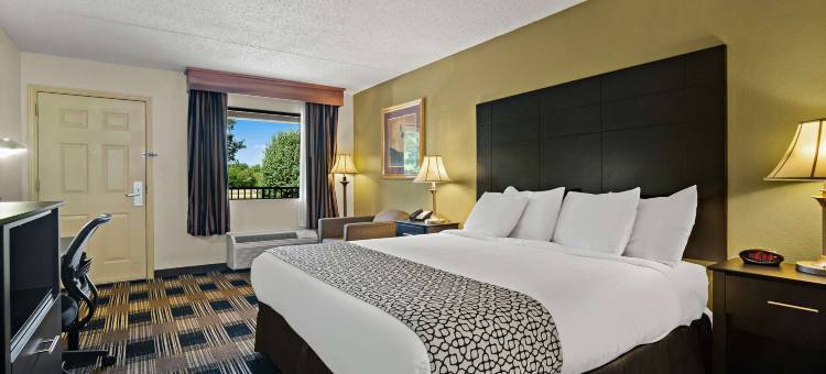 温莎贝斯特韦斯特套房酒店(Best Western Windsor Suites)图片