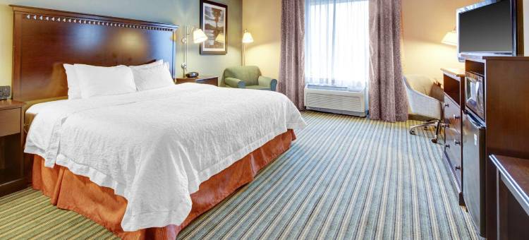 希尔顿欢朋套房酒店-塔马拉克西劳德代尔堡(Hampton Inn & Suites Ft. Lauderdale West-Sawgrass/Tamarac)图片