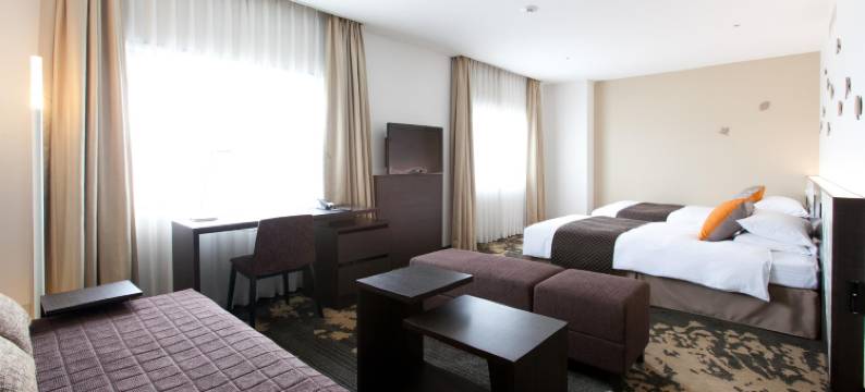 富山东急卓越大酒店(Toyama Excel Hotel Tokyu)图片