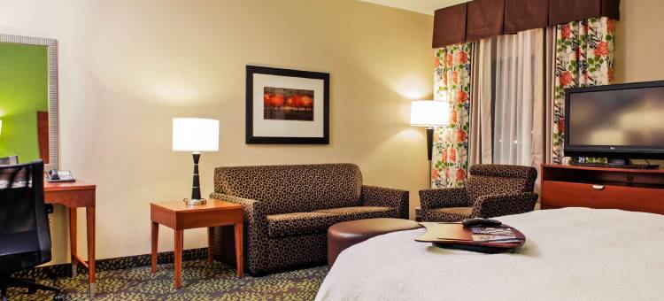 哈灵根欢朋套房酒店(Hampton Inn & Suites Harlingen)图片