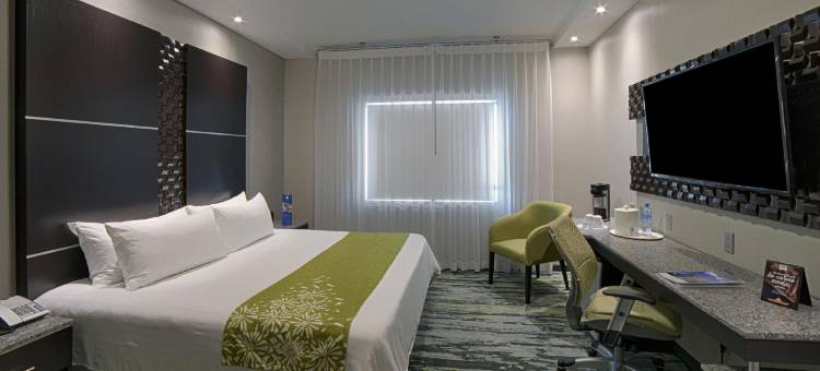 阿来萨沙露伊斯饭店(Hotel Araiza San Luis R.C.)图片