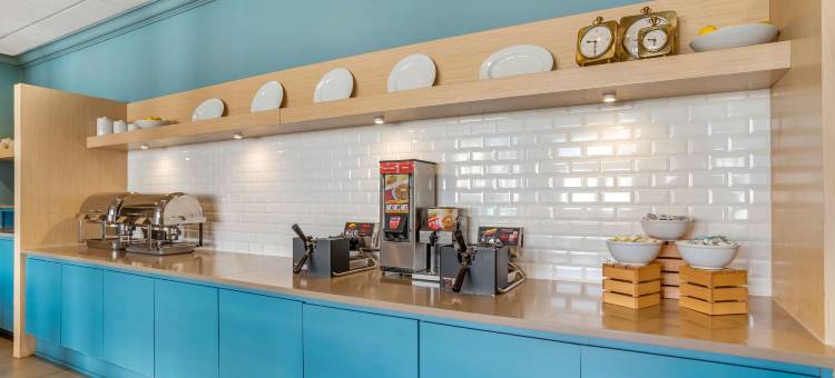 新奥尔良梅塔里丽怡酒店(Country Inn & Suites by Radisson, Metairie (New Orleans), La)图片