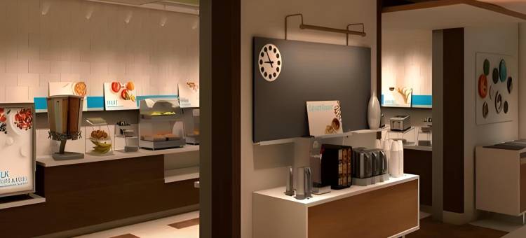 智选假日套房酒店-加兰西南/达拉斯东北地区(Holiday Inn Express & Suites Dallas Northeast - Arboretum)图片