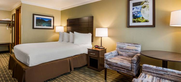 库斯贝假日贝斯特韦斯特优质酒店(Best Western Holiday Hotel)图片