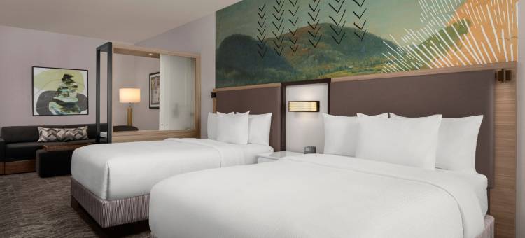 丘拉维斯塔东湖万豪春丘酒店(SpringHill Suites Chula Vista Eastlake)图片