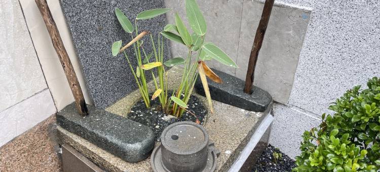 平潭如院客栈图片