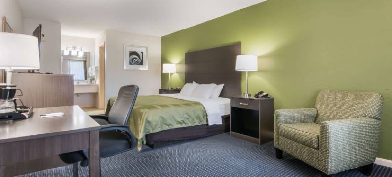 小溪品质酒店(Quality Inn Little Creek)图片