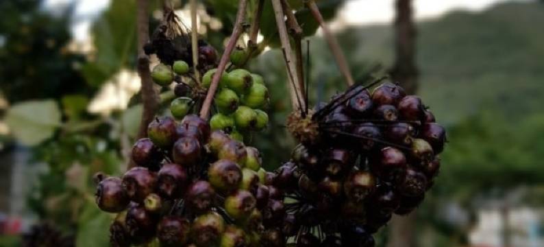 Yangsan Nature Hanmadang Pension图片